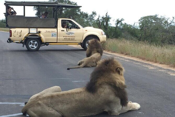 Kruger Park Safari Private Full-Day Tour from Malelane - Who Is This Tour Best Suited For?