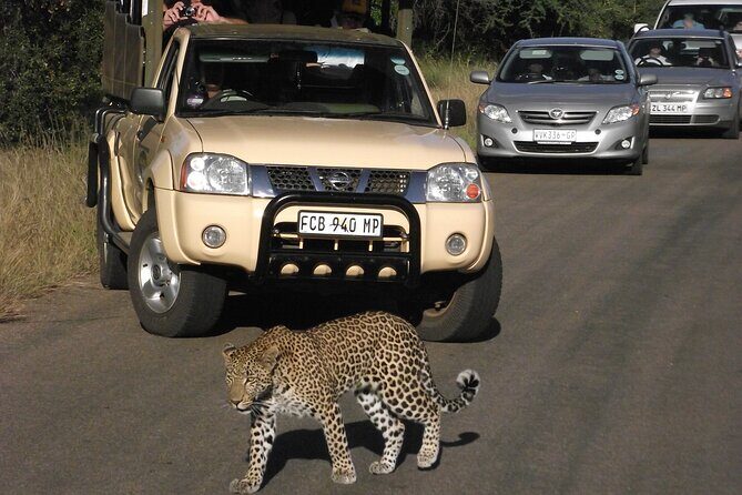 Kruger Park Safari Private Full-Day Tour from Marloth Park - Pricing and Value