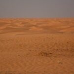 Ksar Ghilane 1 day: The hot spring and the homestay - In-Depth Itinerary Breakdown
