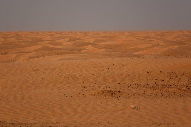 Ksar Ghilane 1 day: The hot spring and the homestay - In-Depth Itinerary Breakdown