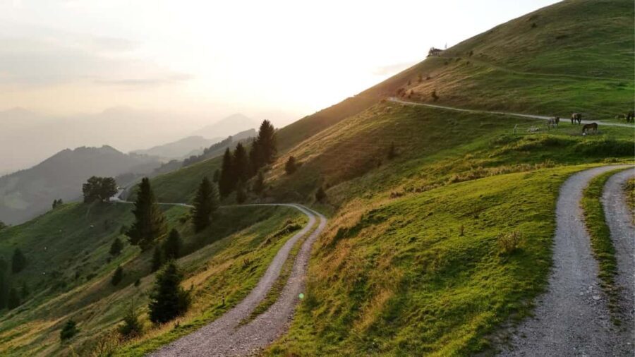 Kufstein: Buggy Alpine Tour with guide, drinks, and drone photos - What Makes This Tour Special?