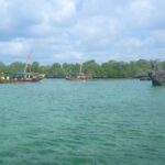 Kwale Island Dhow Sailing Tour from Zanzibar with Seafood Lunch - Practical Details