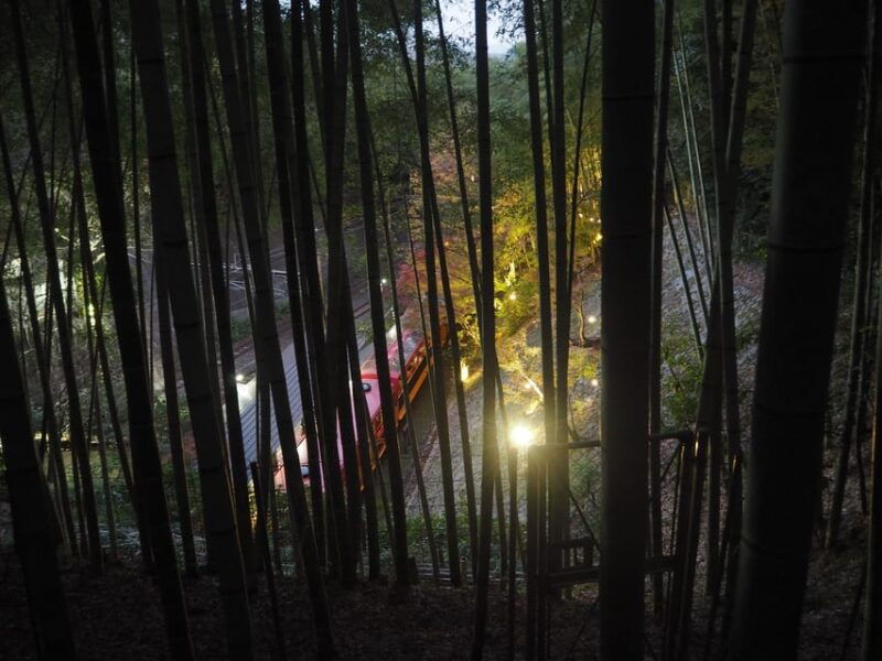 kyoto-tour-in-spanish-fushimi-inari-arashiyama-and-golden-pavilion-2