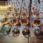 La Geria: a walk among volcanoes and vineyards - Who Should Consider This Tour?