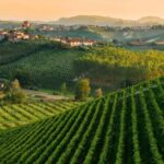 La Madama: A Journey through Piedmont's Tradition and Wines - Who Will Love This Tour?