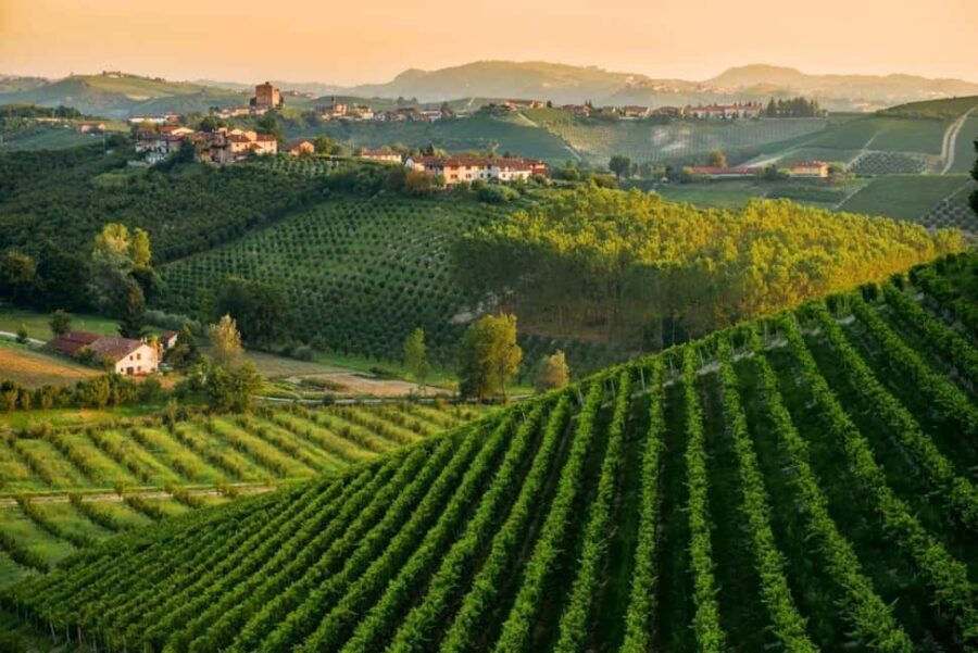La Madama: A Journey through Piedmont's Tradition and Wines - Who Will Love This Tour?