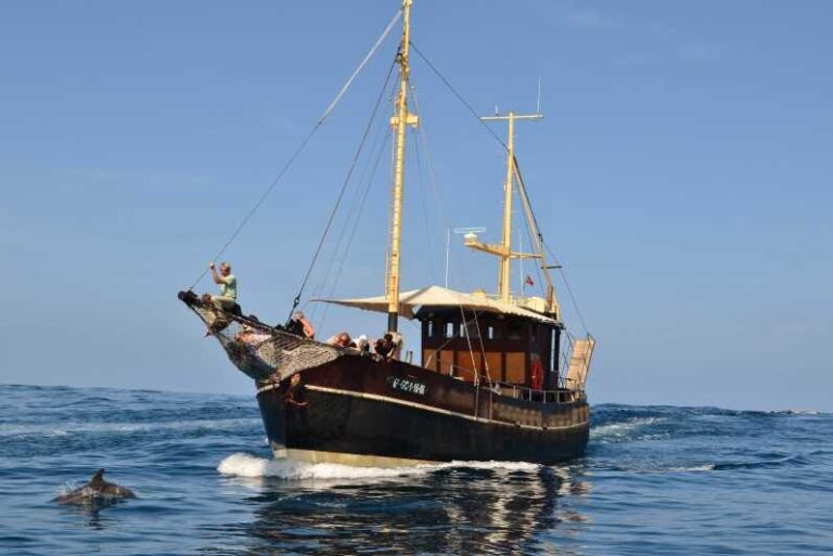 La Palma: 4 Stunden Bussard Classic Tour - Why This Tour Works