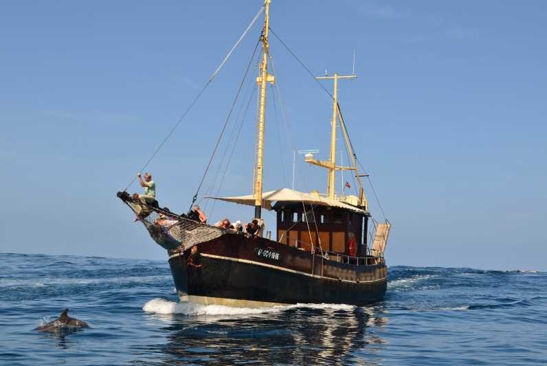 La Palma: 4 Stunden Bussard Classic Tour - Why This Tour Works