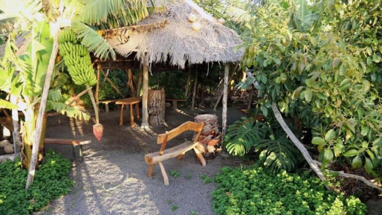 La Palma: PlatanoLógico Edible Forest Tour - Who Is This Tour Best For?