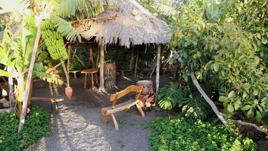 La Palma: PlatanoLógico Edible Forest Tour - Who Is This Tour Best For?
