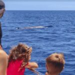 La Palma: Whale Watching Experience and Coastal Highlights - Analyzing the Value