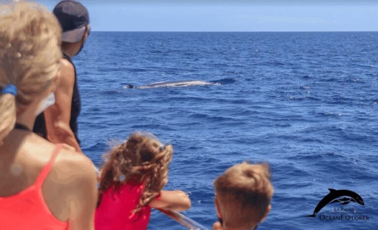 La Palma: Whale Watching Experience and Coastal Highlights - Analyzing the Value