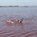 Lac Rose and Noflaye Tortoise Park - Discovering Lac Rose: What to Expect