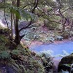 Lagoa do Fogo: Biologist-guided Volcano Geo Tour +Hotsprings - Who Is This Tour Best Suited For?