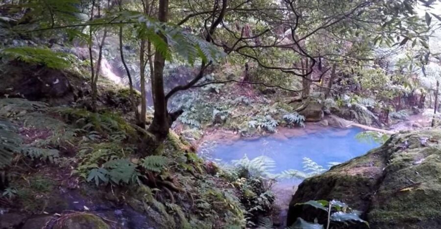 Lagoa do Fogo: Biologist-guided Volcano Geo Tour +Hotsprings - Who Is This Tour Best Suited For?