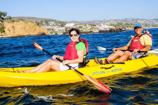Laguna Beach Kayak Tour with Sea Lion Viewing - The Experience: What You Can Expect on the Water
