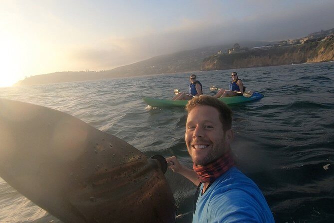 Laguna Beach Open Ocean Kayaking Tour with Sea Lion Sightings - The Itinerary—What to Expect