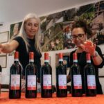 Lake Garda: Corvina Wine Tasting with Vineyard Walk - Who Will Love This Tour?