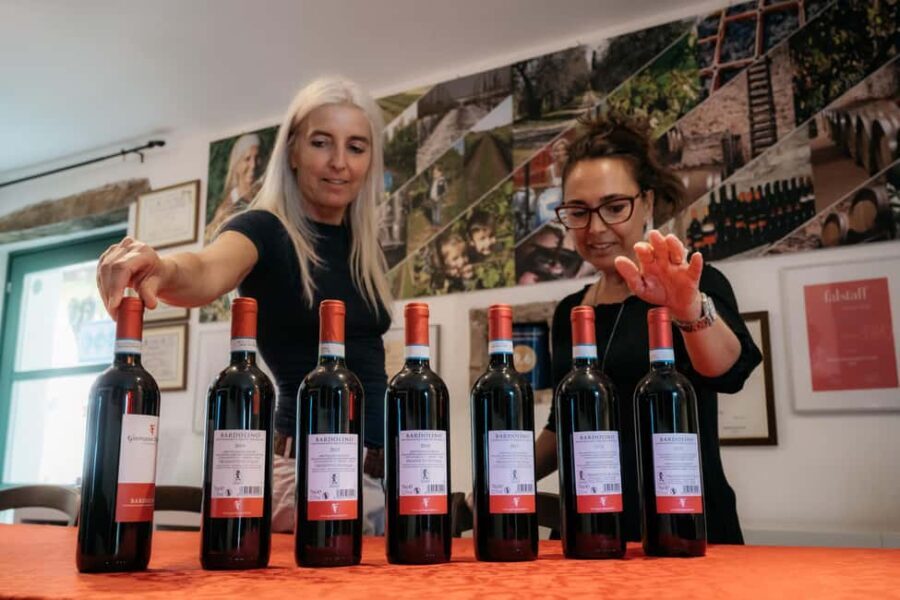 Lake Garda: Corvina Wine Tasting with Vineyard Walk - Who Will Love This Tour?