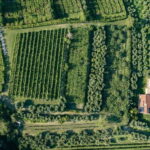 Lake Garda: Tour with 4 Olive Oil Tasting & Local Food - FAQ