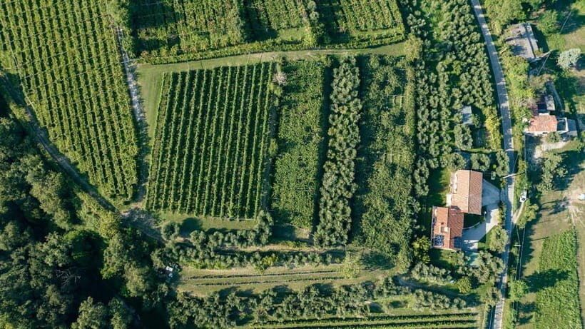 Lake Garda: Tour with 4 Olive Oil Tasting & Local Food - FAQ