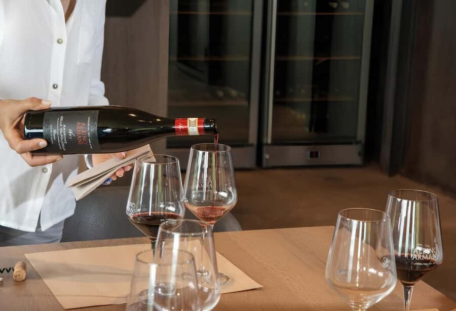 Lake Garda: Winery Tour and Wine Tasting in Valpolicella - The Wine Tasting Experience