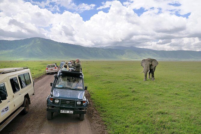 Lake Manyara National Park Full-Day Tour from Arusha - The Value of This Tour