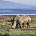 Lake Naivasha And Lake Nakuru Overnight Tour - Considerations Before Booking