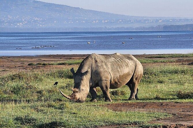 Lake Naivasha And Lake Nakuru Overnight Tour - Considerations Before Booking