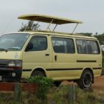 Lake Nakuru Day Tour From Nairobi - The Experience and What You’ll Love