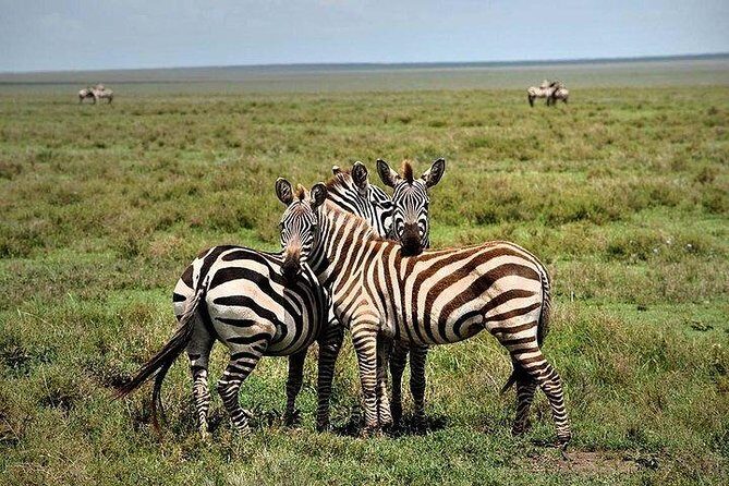 Lake Nakuru National park Day Tour From Nairobi - Detailed Breakdown of the Itinerary