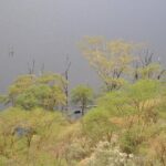 Lake Nakuru National Park - Full Day Tour - Practical Details and What to Expect