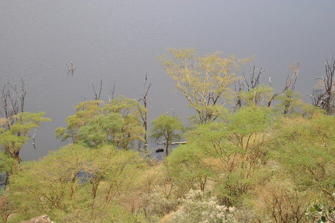 Lake Nakuru National Park - Full Day Tour - Practical Details and What to Expect