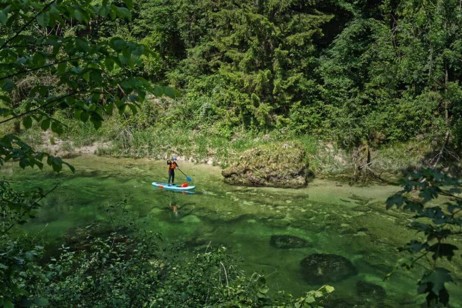 Lambach: Guided SUP & kayak tour through the Natura 2000 area Traun - Practical Details & Tips