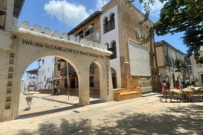 Lamu Old Town Walking Tour - Practical Tips for Your Lamu Walking Tour