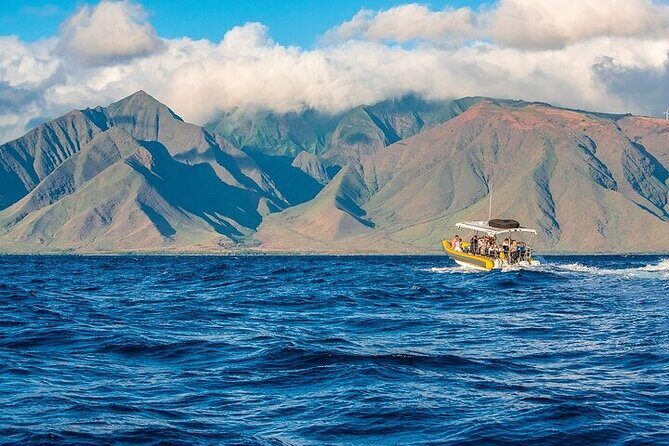 Lanai Deluxe Dolphin Adventure & 3 Snorkel Sites - Practical Details & What You Need to Know