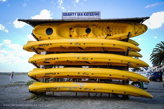 Langebaan Lagoon Island Kayak Experience - Is This Tour Worth It? Analyzing the Value