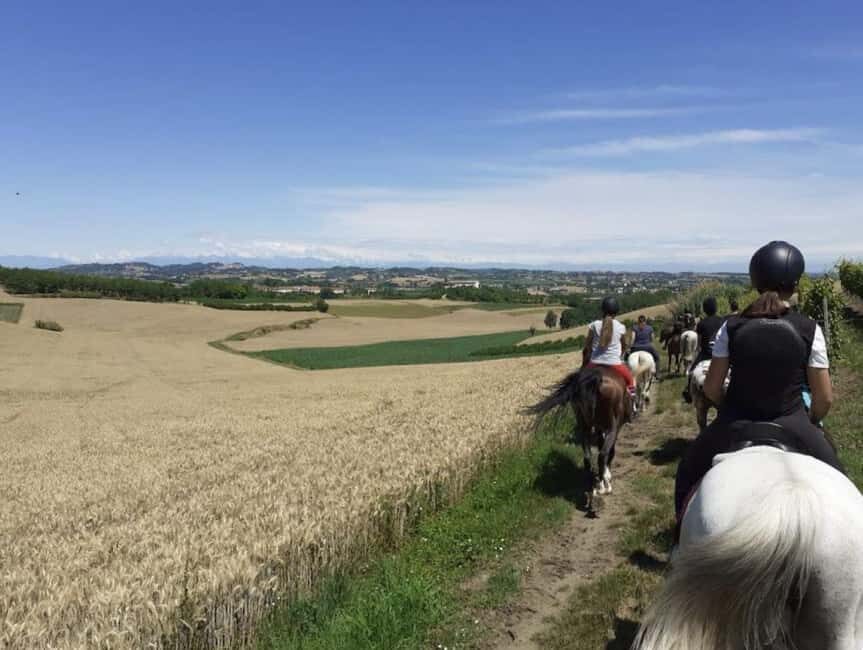 Langhe: Horse Riding in the Vineyards - Who Should Consider This Tour?