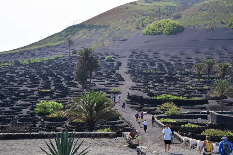 Lanzarote Shopping from Caleta de Fuste (Fuerteventura) - The Ferry Ride: An Unexpected Highlight