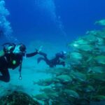 Lanzarote: Snorkeling Tour - Why This Tour Is a Great Value