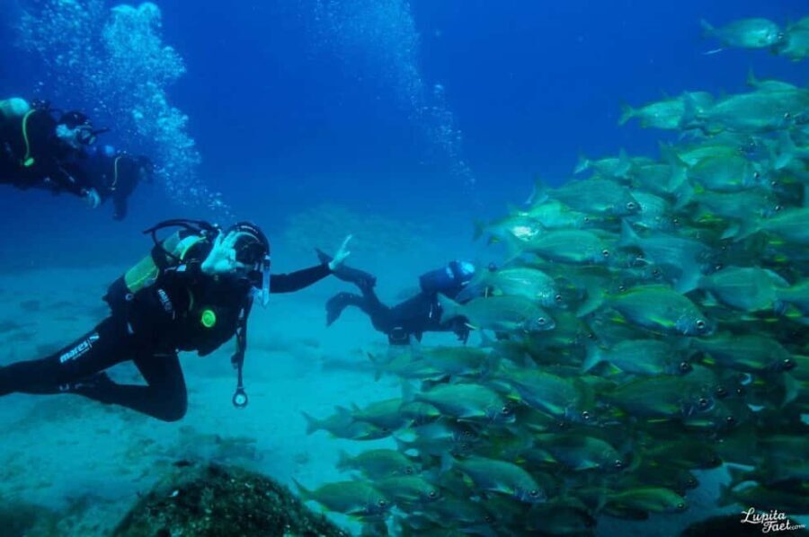 Lanzarote: Snorkeling Tour - Why This Tour Is a Great Value