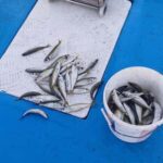 Larnaca: Private Fishing - Traditional Explorer N Vessel - An In-Depth Look at the Experience
