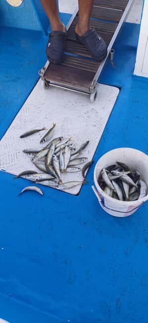 Larnaca: Private Fishing - Traditional Explorer N Vessel - An In-Depth Look at the Experience