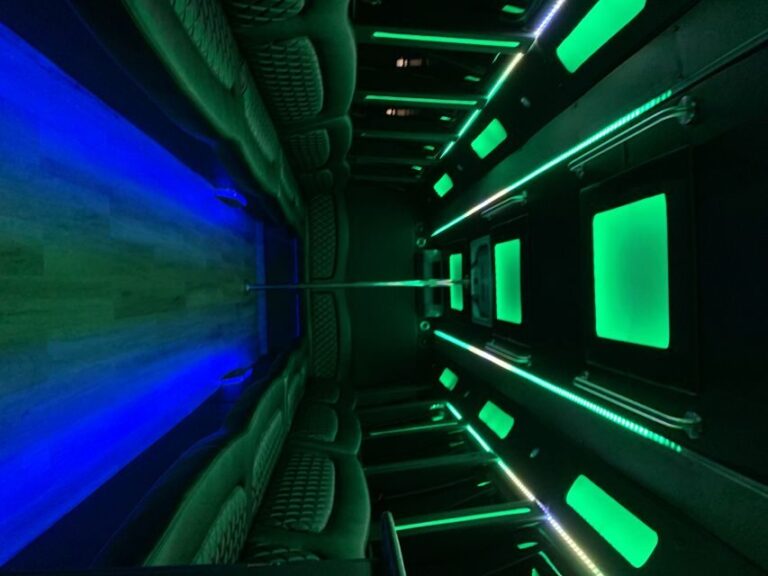 Las Vegas Airport: Party Bus 1-Way Transfer - The Actual Ride and Its Benefits
