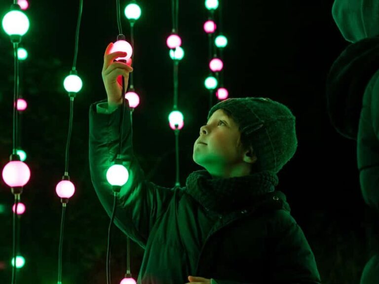 Laxenburg Castle Park: ILLUMINA Austria's largest light garden - ticket - Detailed Breakdown of the Light Garden Route