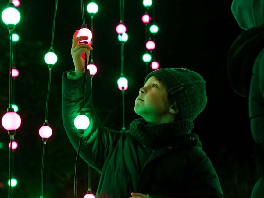 Laxenburg Castle Park: ILLUMINA Austria's largest light garden - ticket - Detailed Breakdown of the Light Garden Route