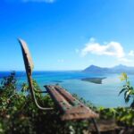 Le Morne Brabant Sunrise Hike - Why This Tour Provides Great Value