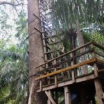 Lekki Conservation Center Extraordinary Tour - The Sum Up