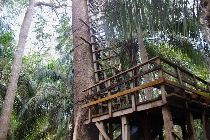 Lekki Conservation Center Extraordinary Tour - The Sum Up
