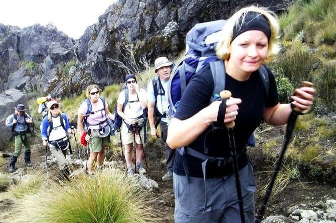 Lemosho Route 8 Days 7 Nights/Kilimanjaro Climb - Practical Considerations and Tips